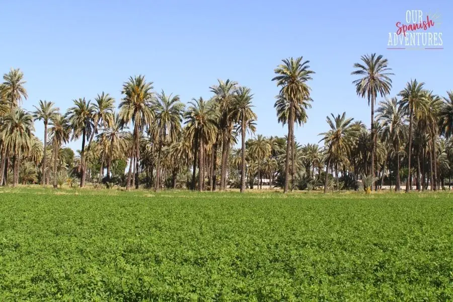 9 common misconceptions about Spain - green fields