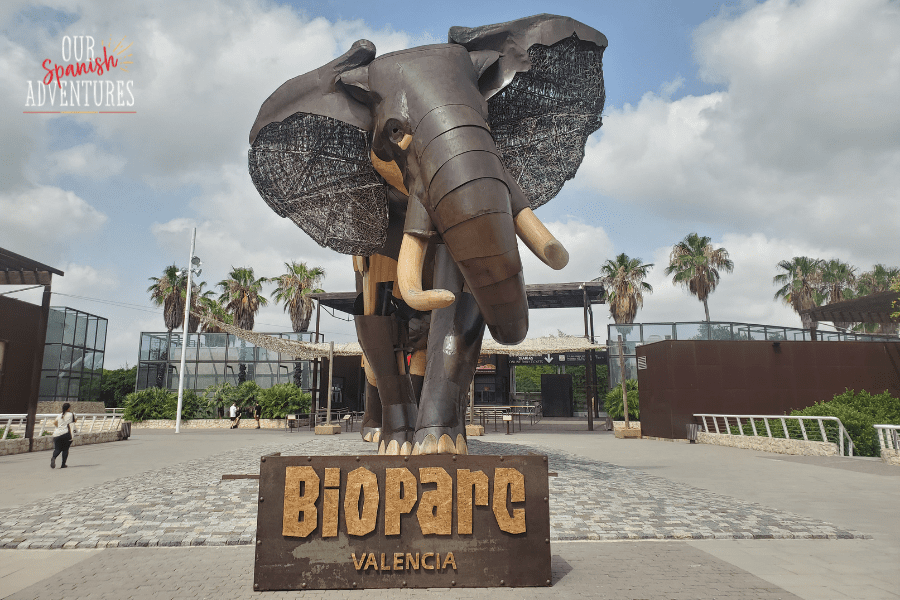 bioparc valencia - things to do with kids in Valencia