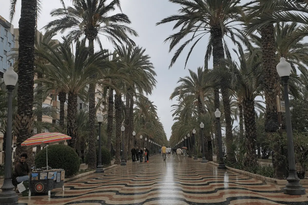 esplanada alicante in the rain - Things to do on the Costa Blanca when it rains