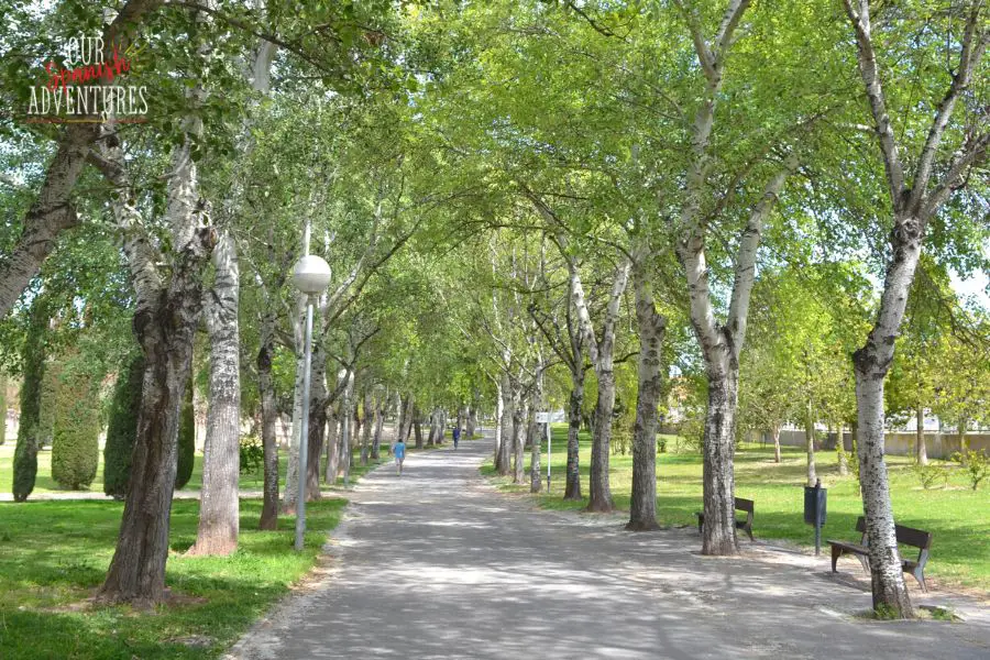 Parque Lo Morant