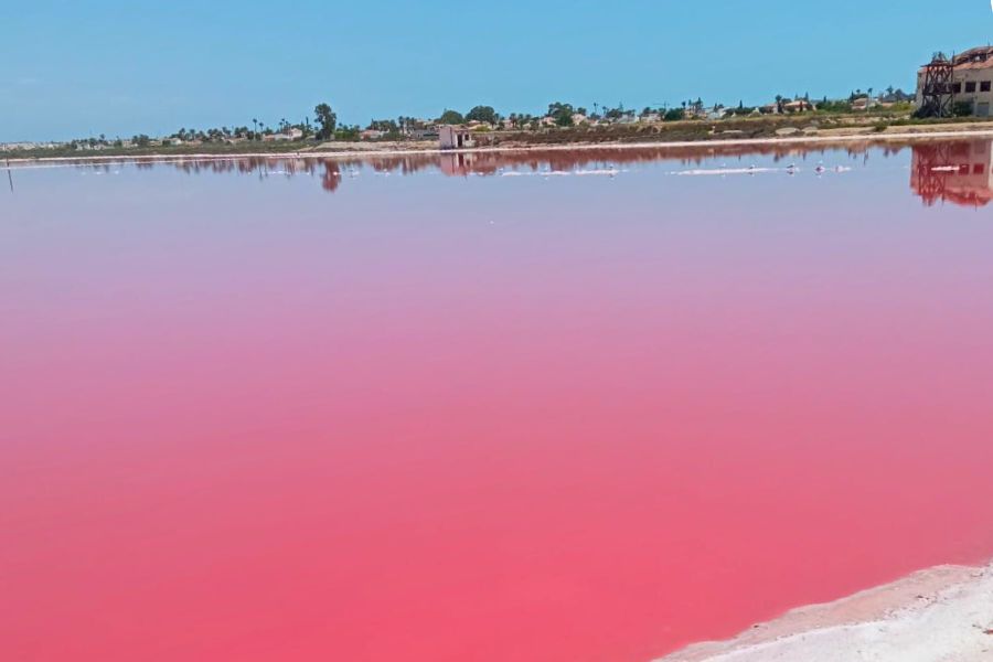 pink lake torrevieja