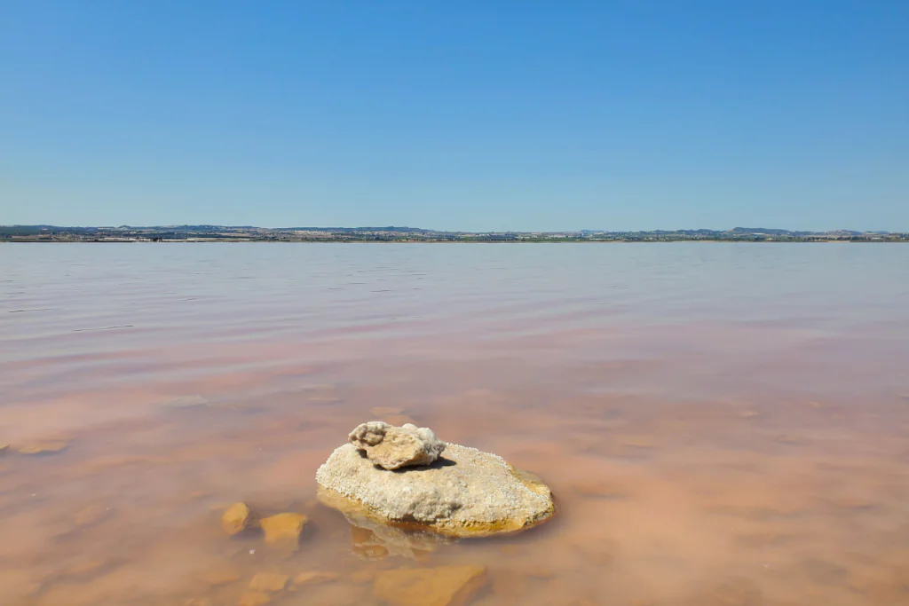 pink lake with rocks and mountain in the distance