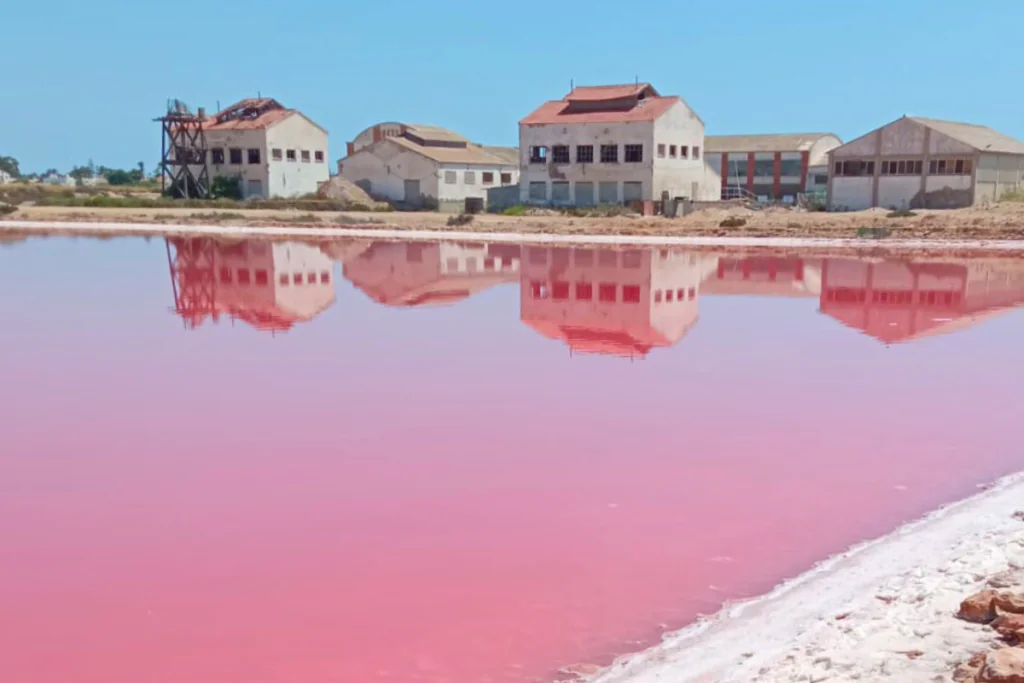 pink lake with salt works buildings in the distance