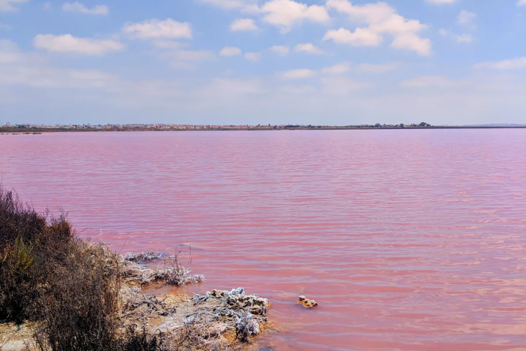 view over the pink lake and salt works torrevieja from the land train