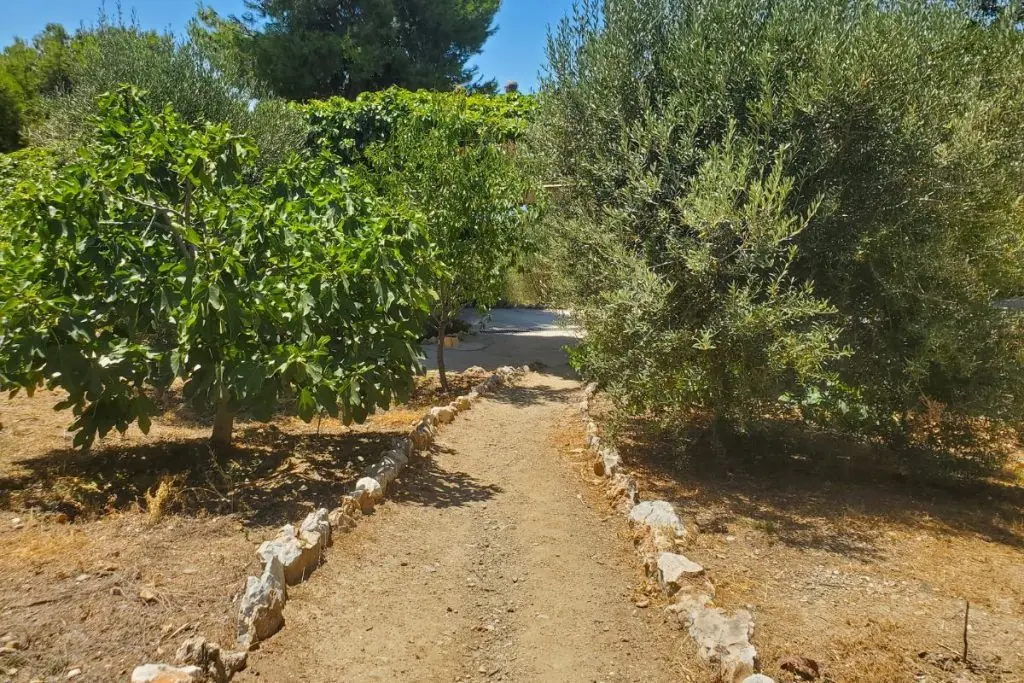 botanic gardens nerja caves