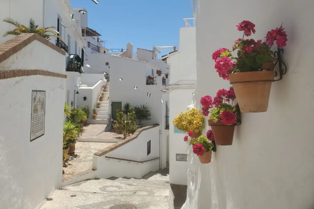 frigiliana street and flowers