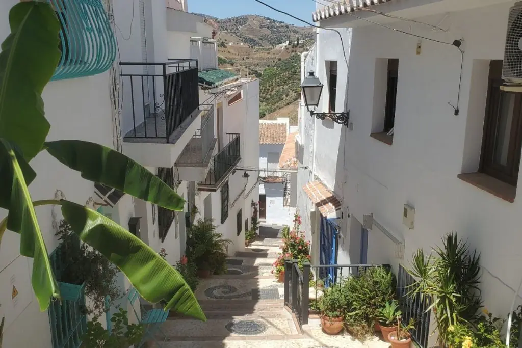 frigiliana streets plants