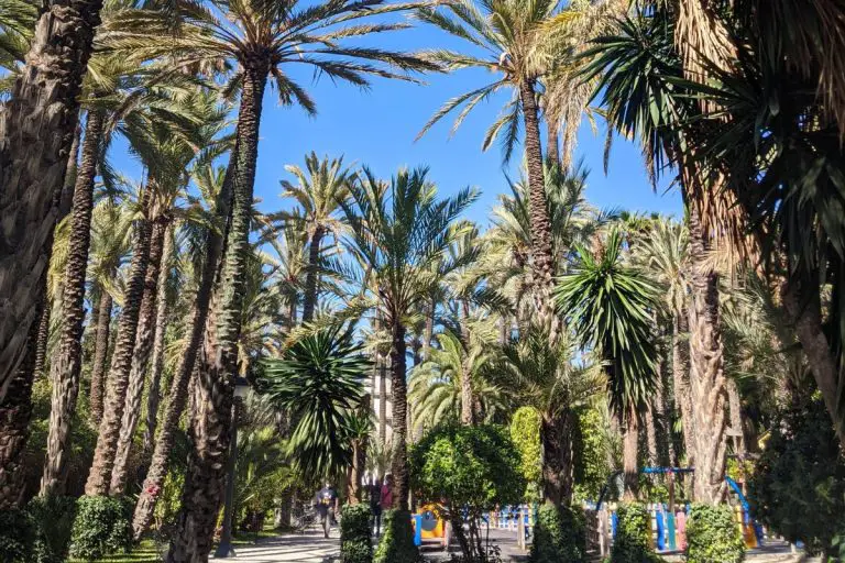 A Perfect Weekend in Elche: What to Do, Eat & Where to Stay