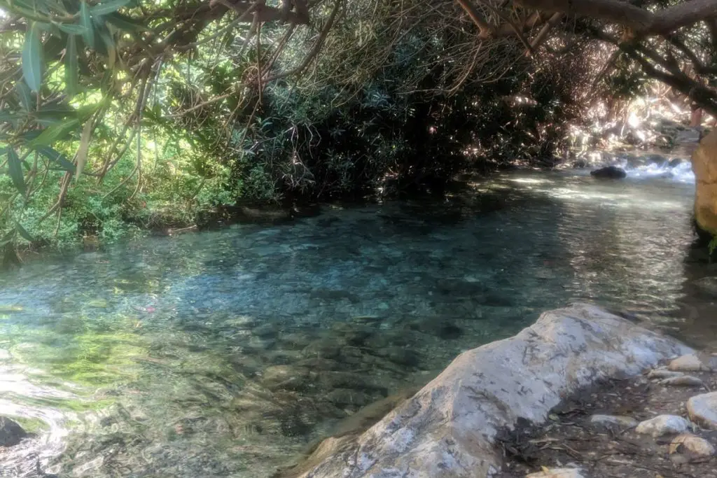 fonts d'algar stream