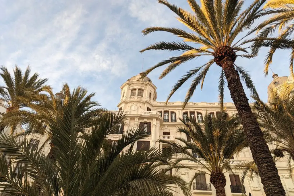 Building and palm trees in Alicante