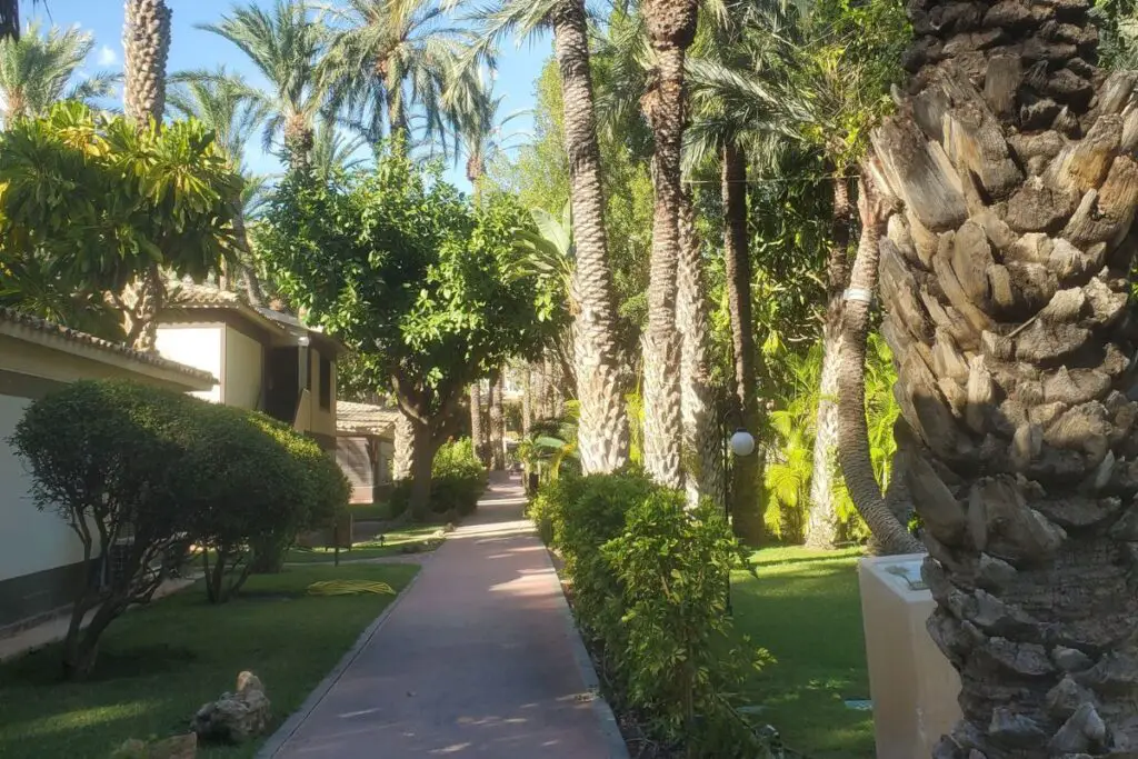Hotel Huerto del Cura Elche gardens The bungalow rooms in the gardens of the Hotel Huerto del Cura in Elche
