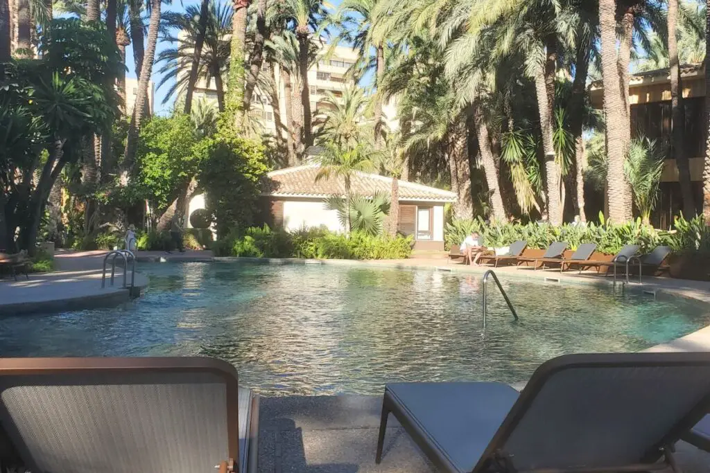 Hotel Huerto del Cura Elche pool view A view over the pool at the Hotel Huerto del Cura in Elche, surrounded by palm trees and sunbeds