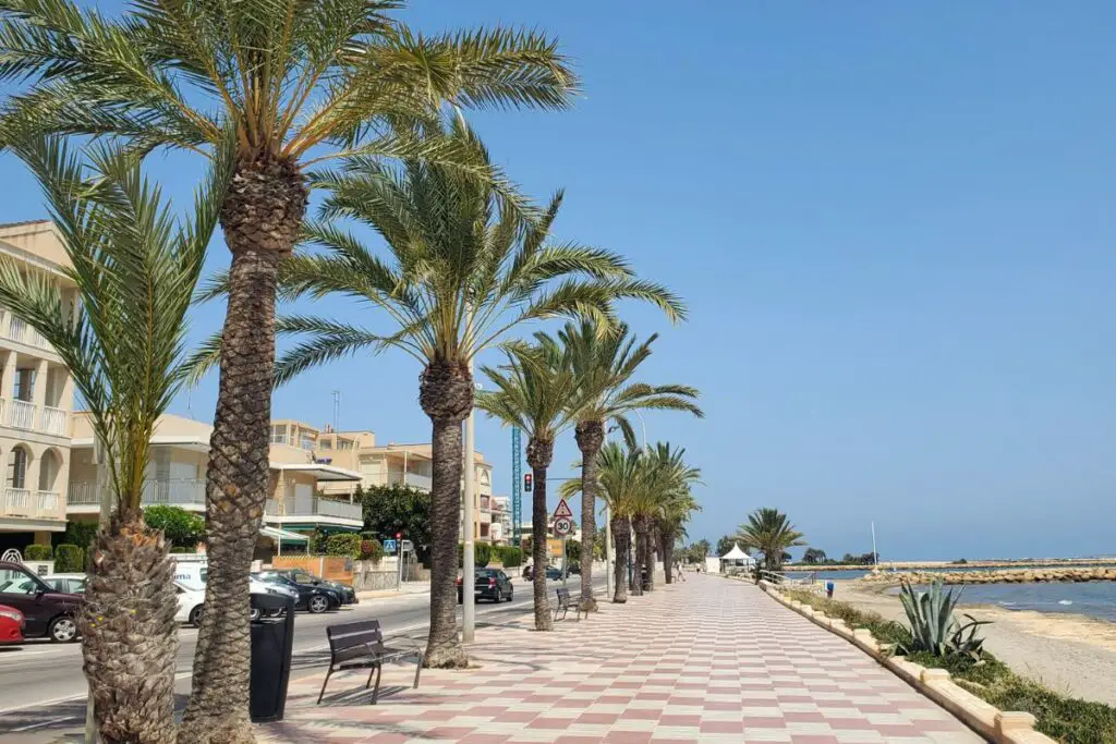 santa pola promenade Flat Santa Pola promenade flanked by palm trees and the sandy beach