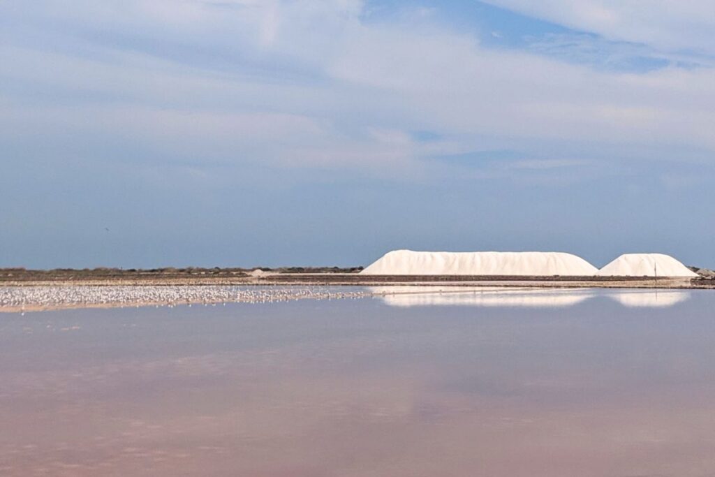 santa pola salt flats The salt flats at Santa Pola with the salt mountain in the distance and pink tinged water at the front